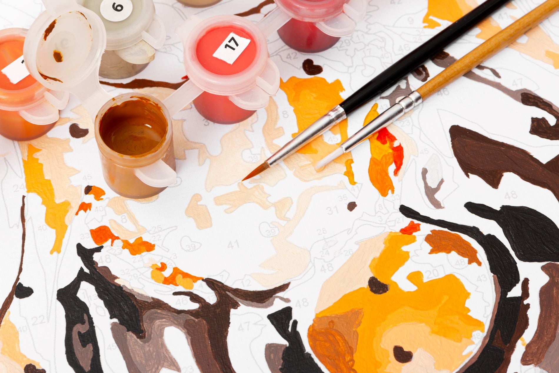 Paint by numbers instructions to succeed