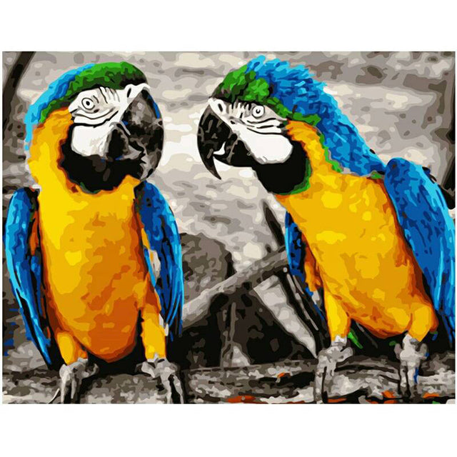 Paint By Numbers Parrots Kits For Adults