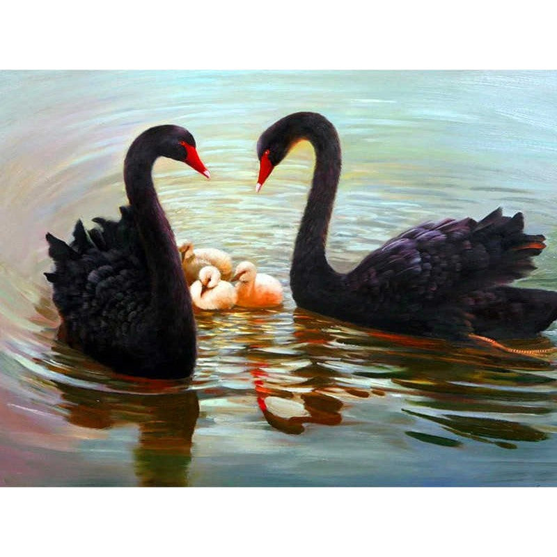 Black Swan Family Paint By Numbers