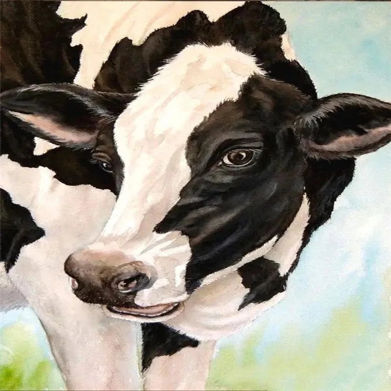 Holstein Friesian Cow Paint by Numbers