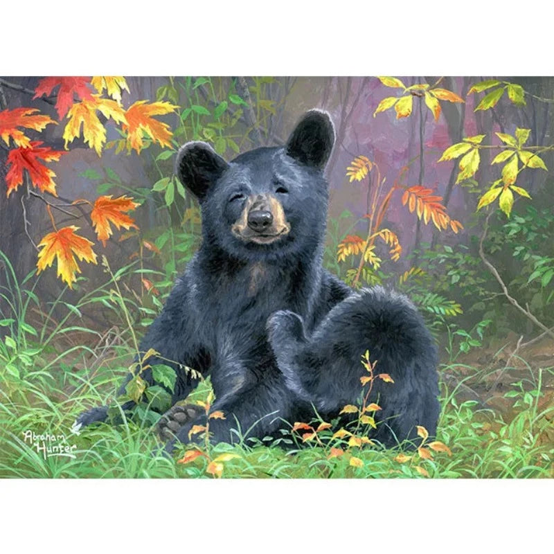 Wild Black Bear Paint by Numbers