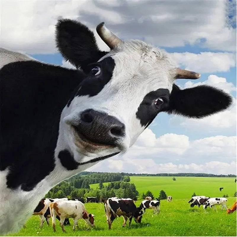 Dairy Cattle Farm Paint by Numbers