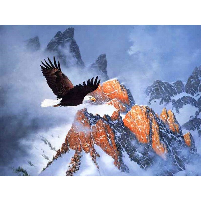 Paint By Numbers Eagle In The Mountains