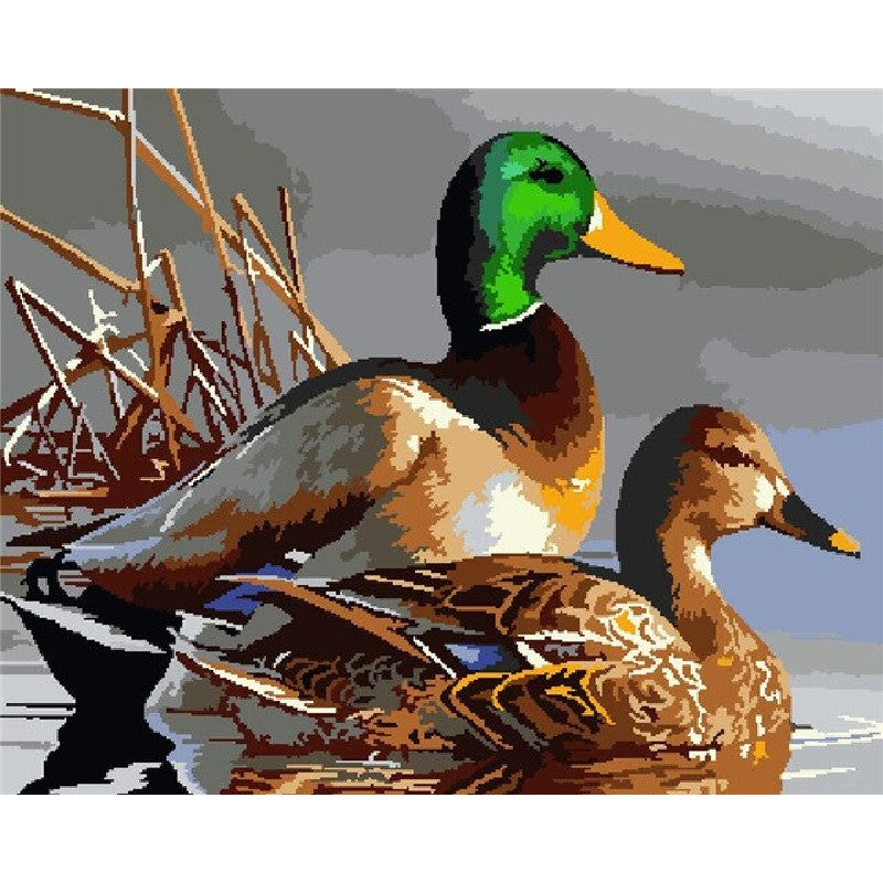 Pair Of Ducks Paint By Numbers