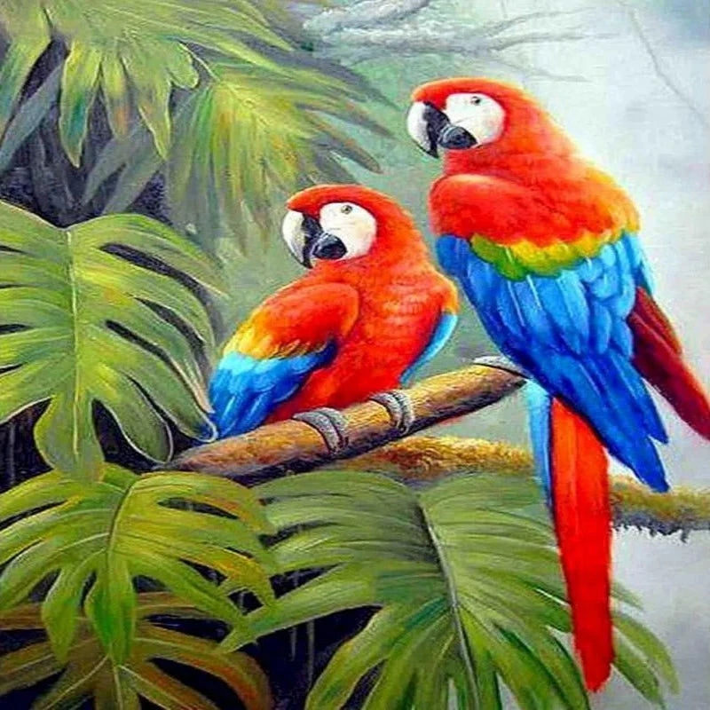 Couple Lovebirds Parrot Paint by Numbers