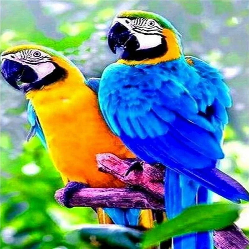 Glaucous Macaw Parrot Birds Paint by Numbers
