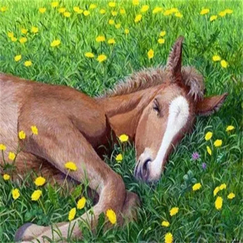 Foal In The Flowering Grass Paint by Numbers