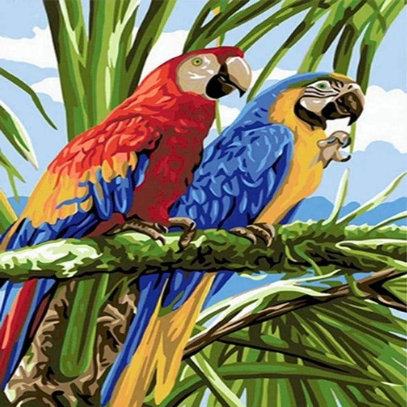 Lovers Parrot Bird Paint by Numbers