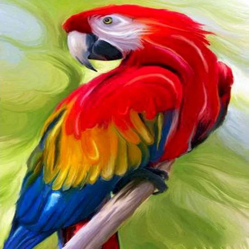 Red Parrot On Wood Paint by Numbers