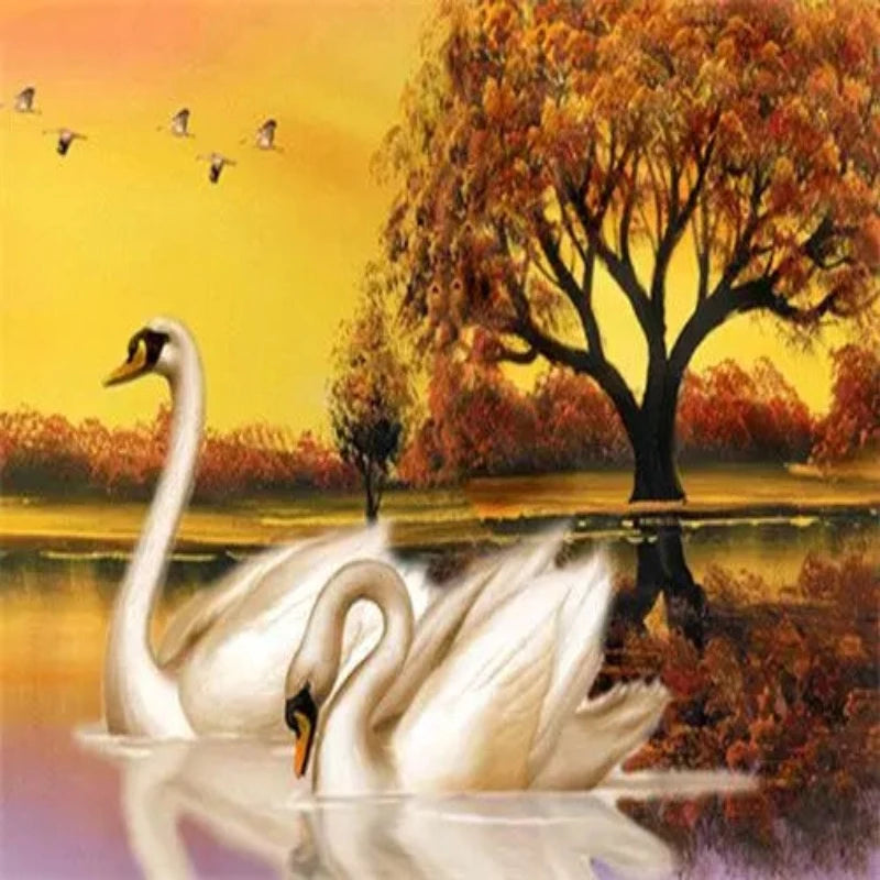 River Sunset And Couple Swan Paint by Numbers