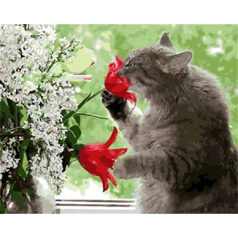 Paint By Numbers Cat Red Flowers Kit