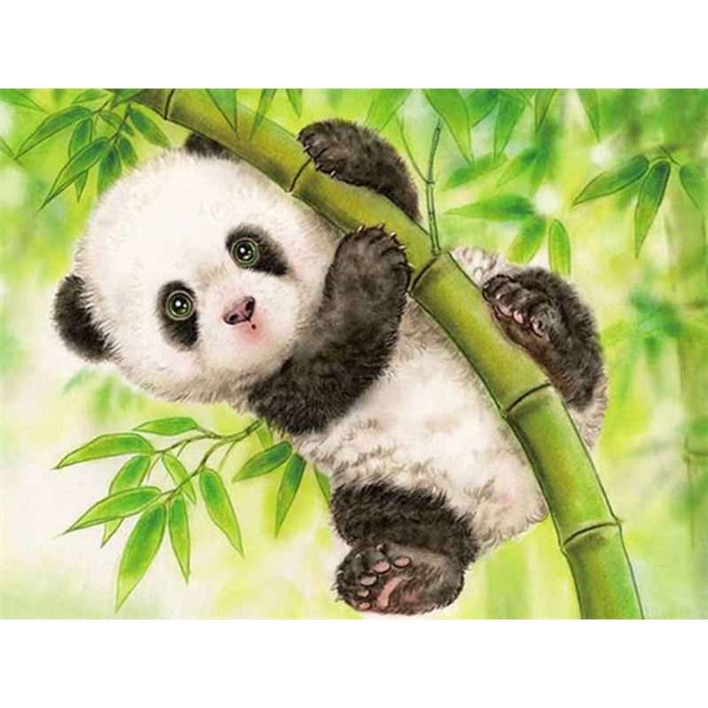 Malen nach Zahlen Panda im Bambus-Set