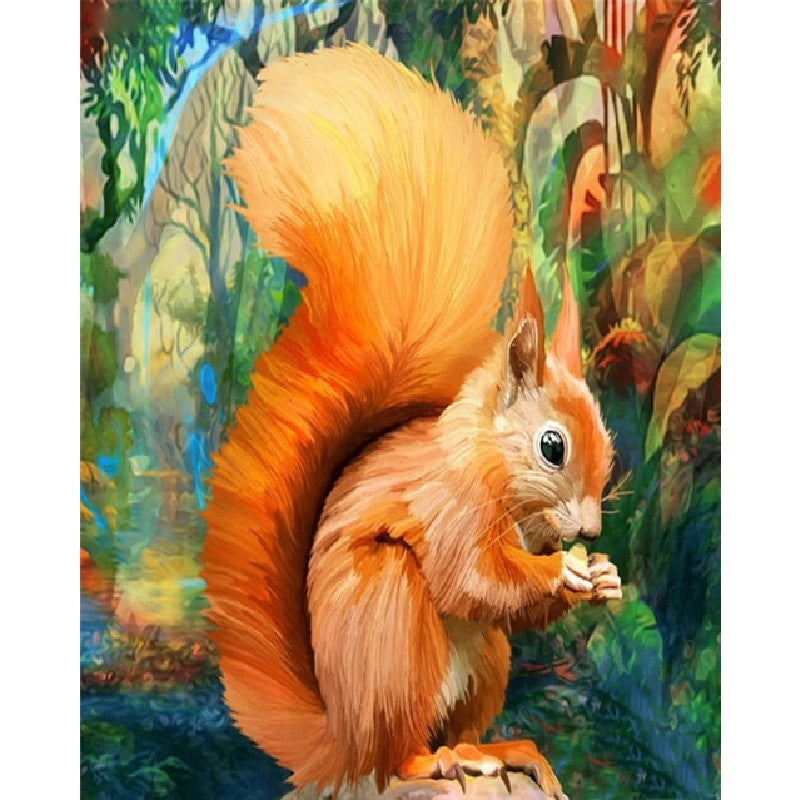 Paint By Numbers Squirrel