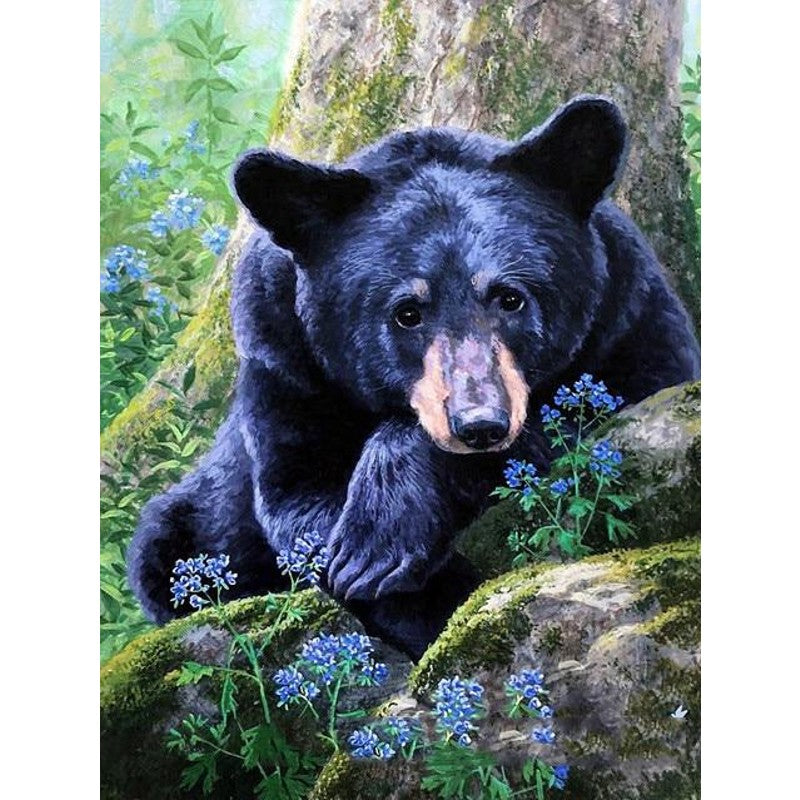 Painting By Numbers Bear