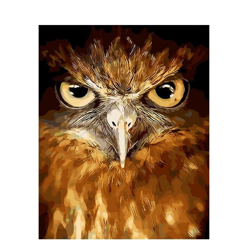 Eagle With Piercing Eye - Paint By Numbers Eagle