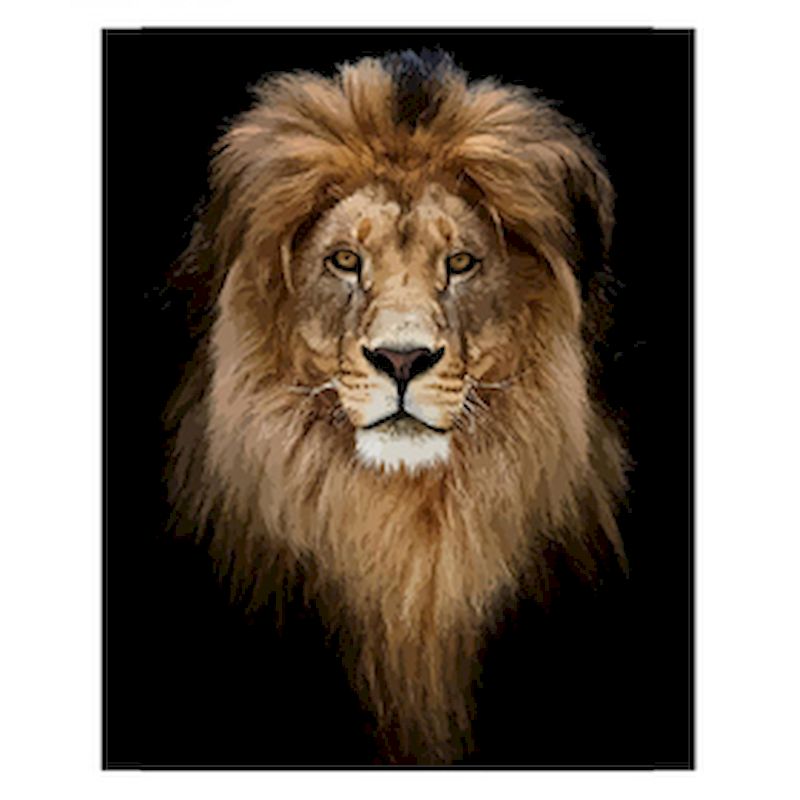 Lion Head Paint By Number