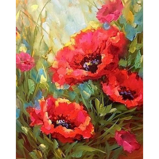 Painting By Numbers Poppy Field
