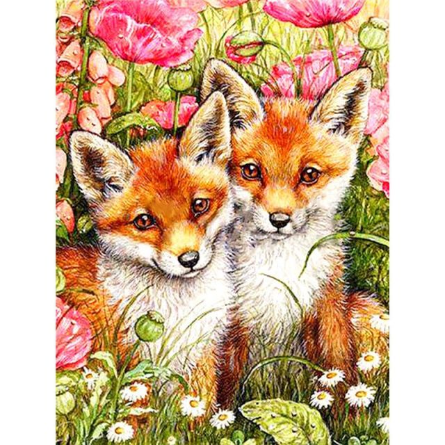 Couple Of Fox