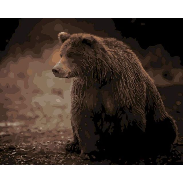 Careful Bear - Paint By Numbers Bear