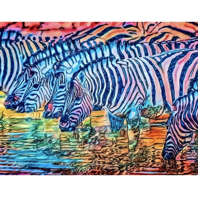 Paint By Numbers Zebras