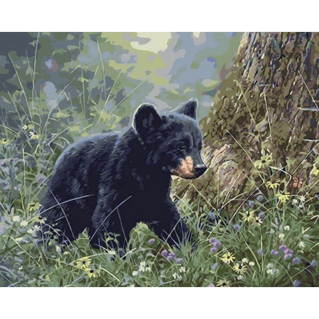 Paint By Numbers Little Bear