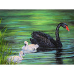 Black Swan With Its Young Paint By Numbers