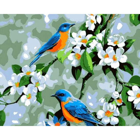 Blue Birds White Flowers Paint By Numbers