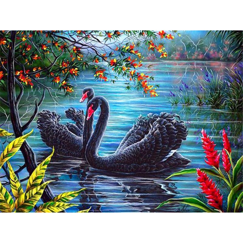 Couple Of Black Swans Paint By Numbers Kit