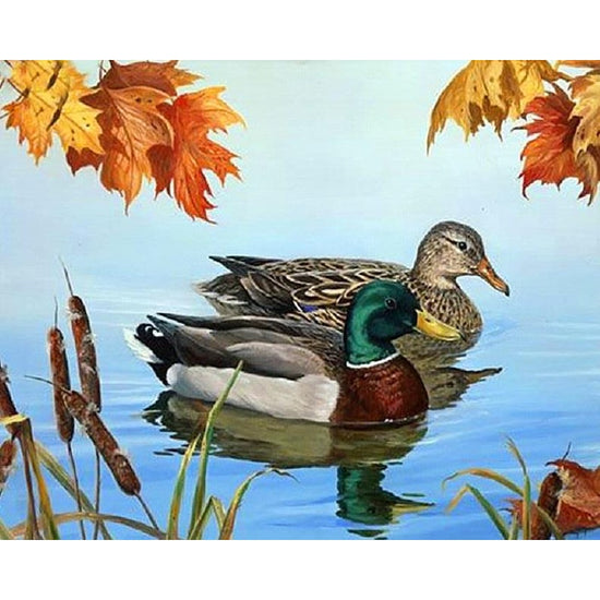 Couple Of Ducks Paint By Numbers