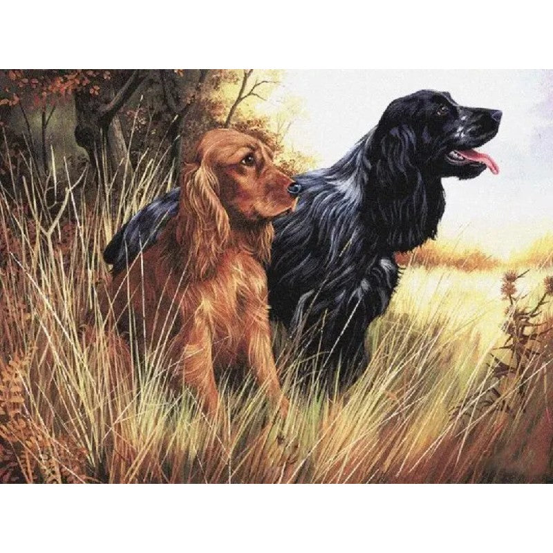 Dogs on their Adventure Paint by Numbers