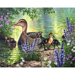 Duck Family Paint By Numbers Kit