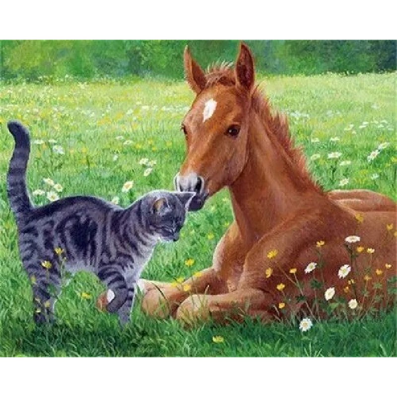 Foal And Gray Cat Paint By Numbers Kit