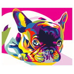 French Bulldog Multicolor Paint By Numbers