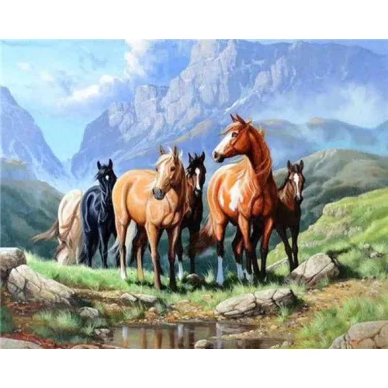 Group Adventure of Horses Paint by Numbers