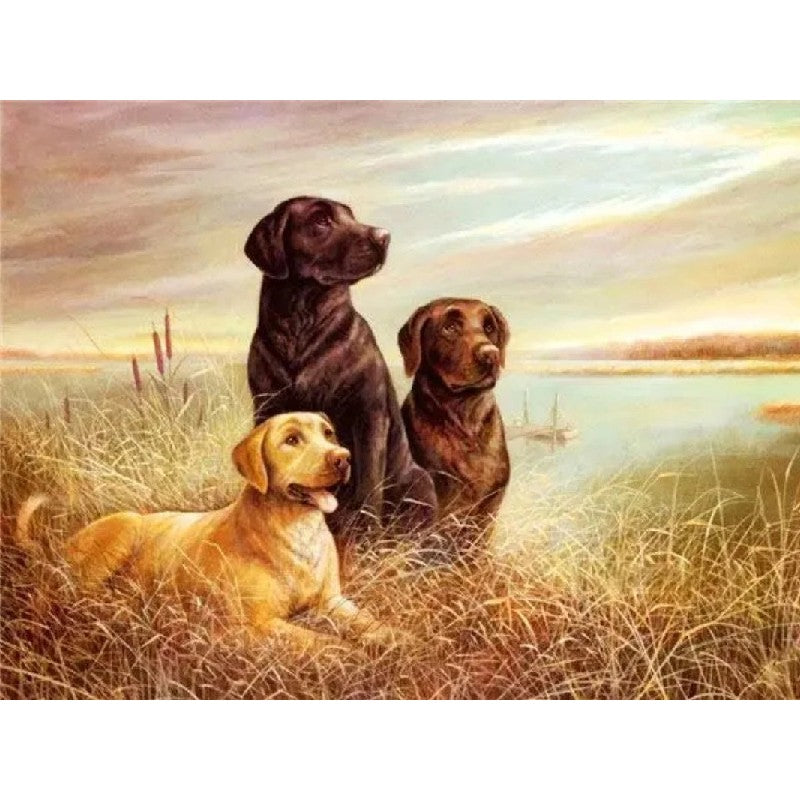 Group of Labradors Paint by Numbers