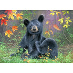 Wild Black Bear Paint by Numbers 