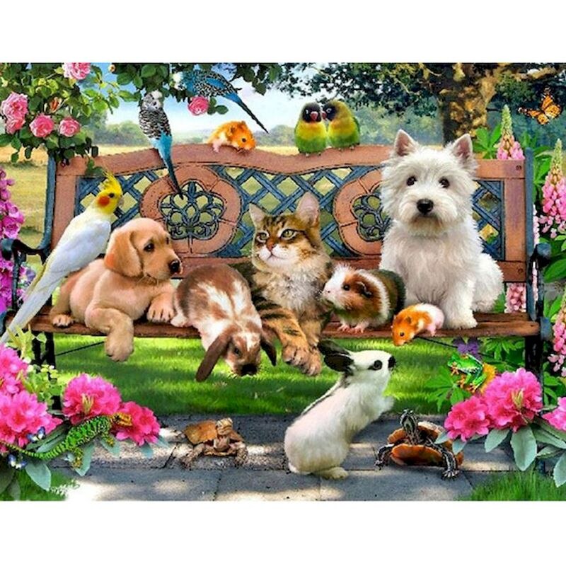 Pets On A Bench Paint By Numbers