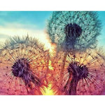 Sunset Dandelion Flowers Paint by Numbers