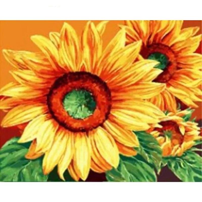 Sunflower  Print Paint by Numbers
