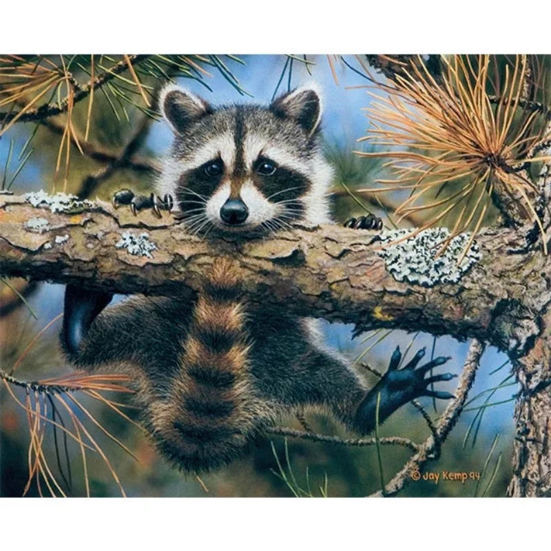 Raccoon On Tree Branch Paint by Numbers 