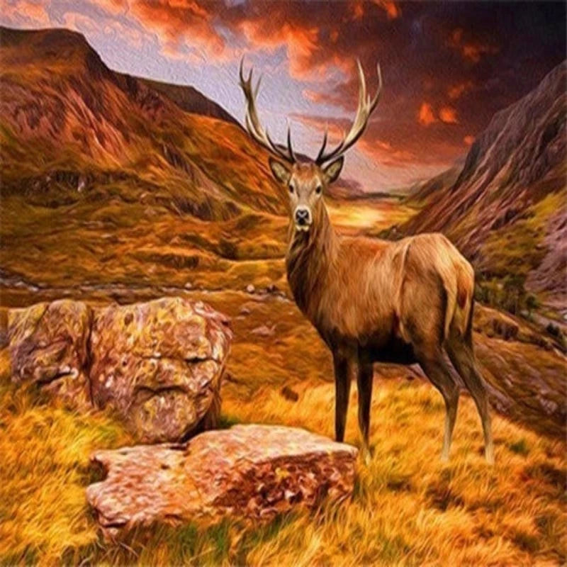 Deer In Rocky Mountain Paint by Numbers