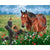 Horse And Bird Paint By Numbers Kit