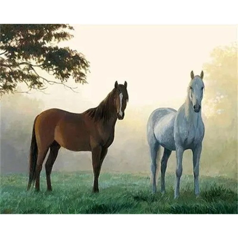 Horses In The Fog Paint By Numbers Kit