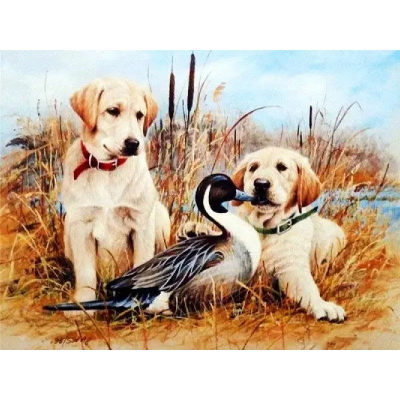 Labrador Playing With Duck Paint by Numbers