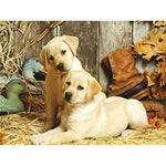 Labradors Playing Outdoor Paint by Numbers