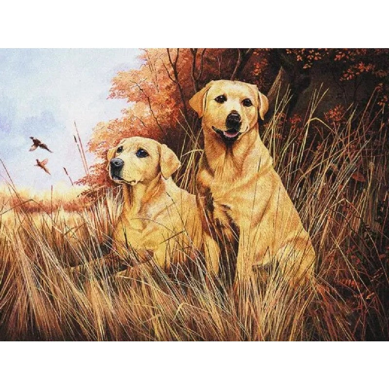 Labradors at the Forest Paint by Numbers