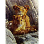 Lions On Rock Paint By Numbers