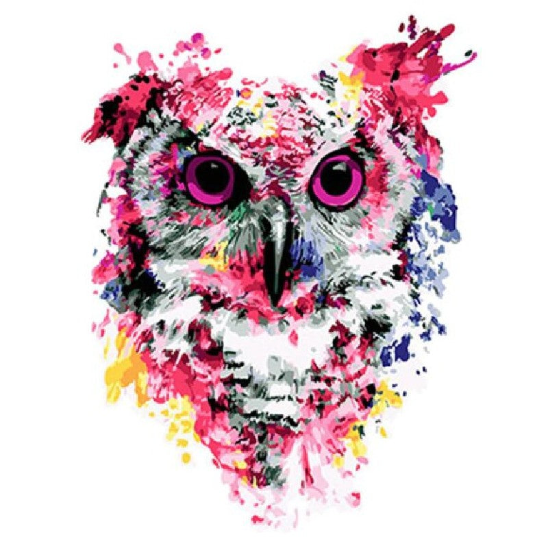 Modern Owl Paint By Numbers Kit