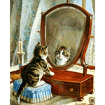 Paint By Numbers Cat And Mirror