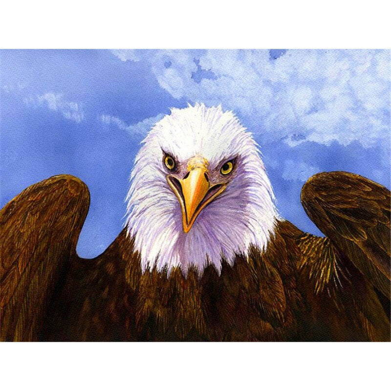 Paint By Numbers Eagle Face Kit